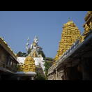 Im Tempel